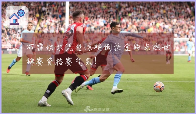 布雷切尔凭借惊艳倒挂金钩点燃世锦赛资格赛气氛！